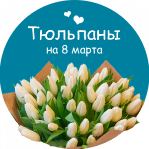 Купить тюльпаны в Чирчике